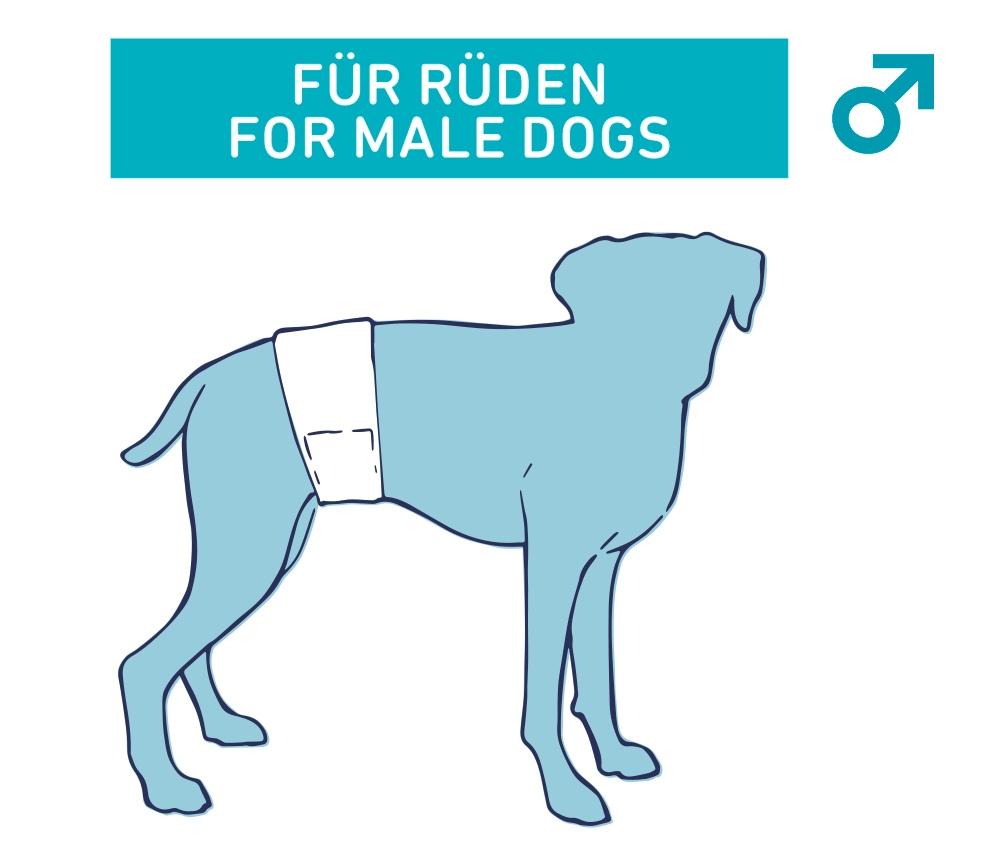 Pieluchy dla psa Nobby (dla płci męskiej) L-XL 60-80cm 12szt. - Nobby zdjęcie 2