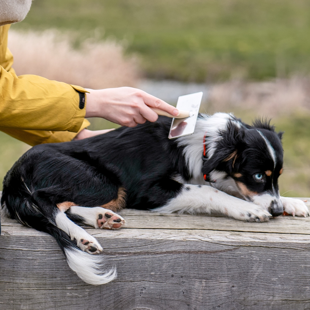 Szczotka Nobby "Pudlówka" do sierści i podszerstka z serii "Nature Line" XL - Nobby zdjęcie 3