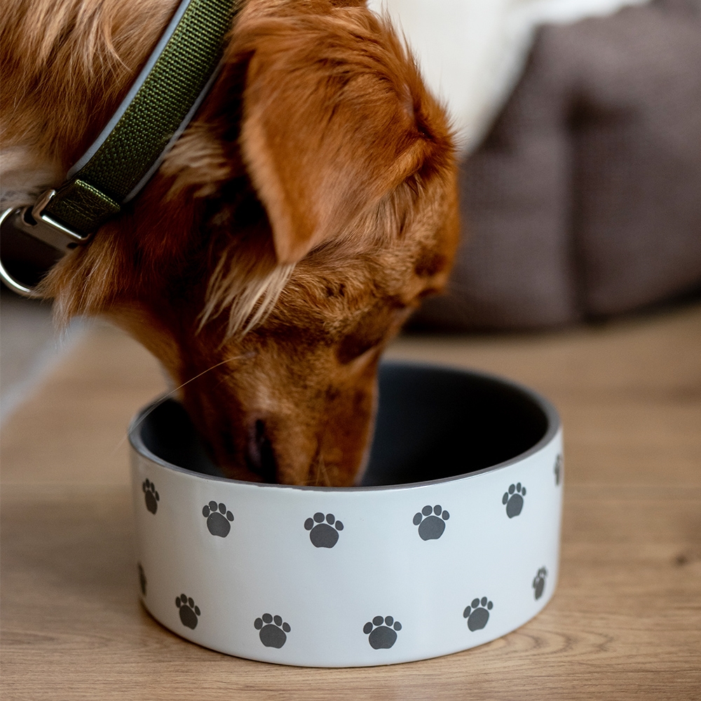 Miska ceramiczna Nobby dla psa/kota "Pata " kremowo/szara 0,55l  Ø 15x6,0cm - Nobby zdjęcie 2