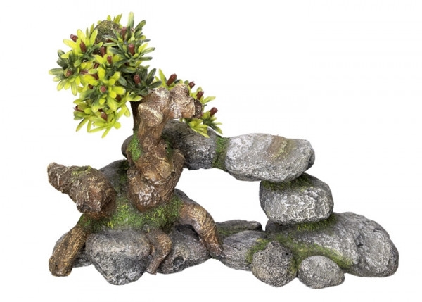 Ozdoba akwariowa Nobby " Bonsai " 19 x 9 x 13 cm - Drzewko Bonsai na kamieniach - Nobby zdjęcie 1