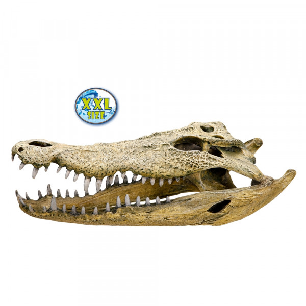 Ozdoba akwariowa Nobby " Crocodile Scull " 47,5x20,5x16 cm - " Czaszka krokodyla " - Nobby zdjęcie 1