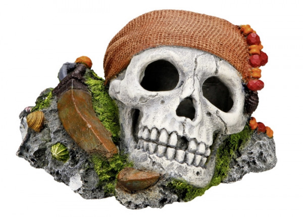 Ozdoba akwariowa Nobby " Pirata scull " 14,5x12,5x8,5 cm - " piracka czaszka " - Nobby zdjęcie 1