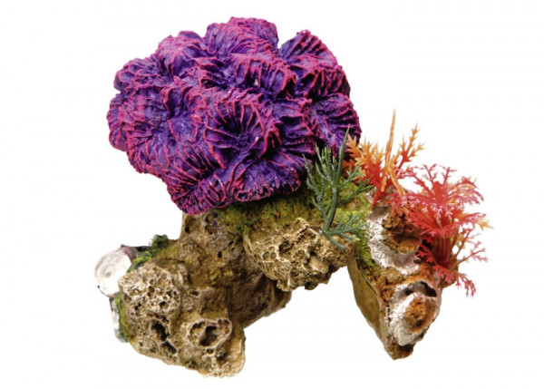 Ozdoba akwariowa Nobby " Coral Stone " 13x10x12 cm - " koralowiec z roślinami " - Nobby zdjęcie 1
