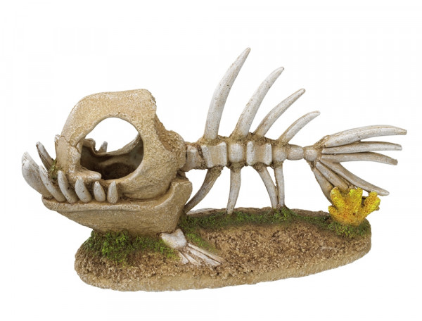 Ozdoba akwariowa Nobby " Monster fish skeleton " 22,8 x 8,5 x 13 cm - " Szkielet ryby potwora " - Nobby zdjęcie 1