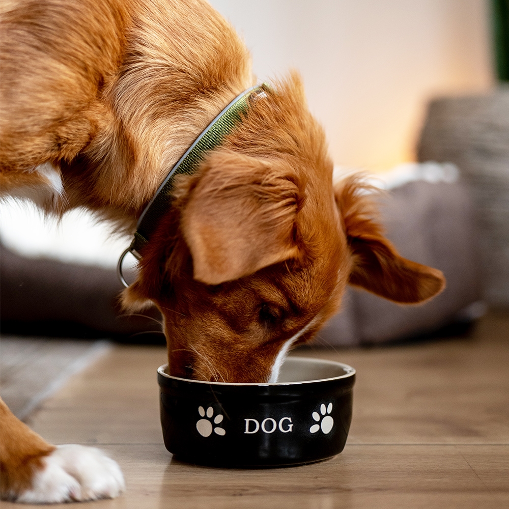 Miska ceramiczna Nobby dla psa "Dog " czarno-beżowa 0,46 L  Ø 15,5x6,5cm - Nobby zdjęcie 2