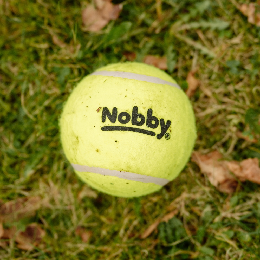 Zabawka dla psa Nobby Tennis Line Ball "M" Ø 6,5cm - tenisowa, żółta piłka  - Nobby zdjęcie 2