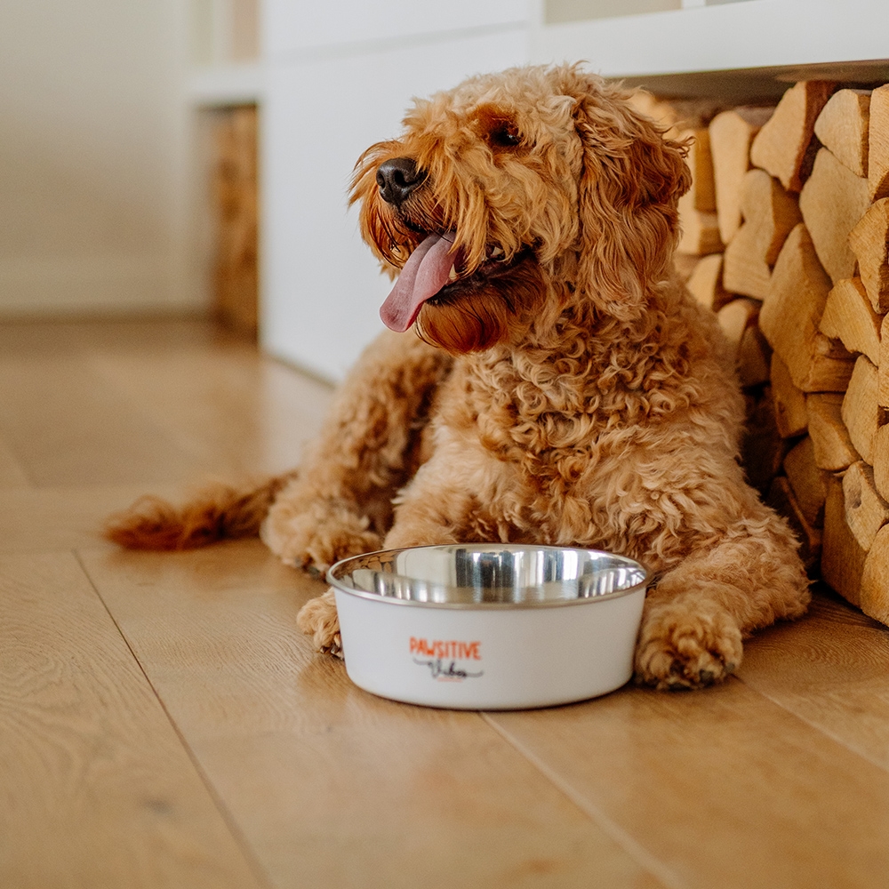 Miska Nobby "Fusion" 0,94l  Ø 16 cm (metalowo-plastikowa) - Nobby zdjęcie 3