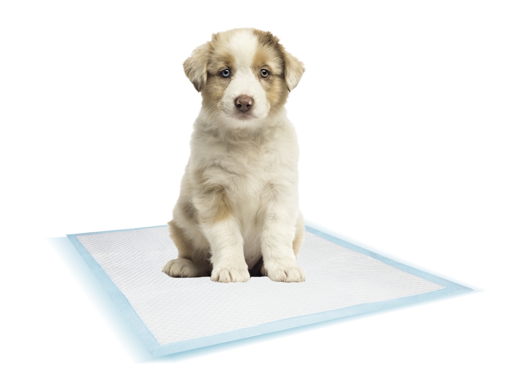 Training Pads Nobby maty dla psa L 60x60cm 10szt/op lawendowe- podkłady do nauki sikania lub seniora - Nobby zdjęcie 2