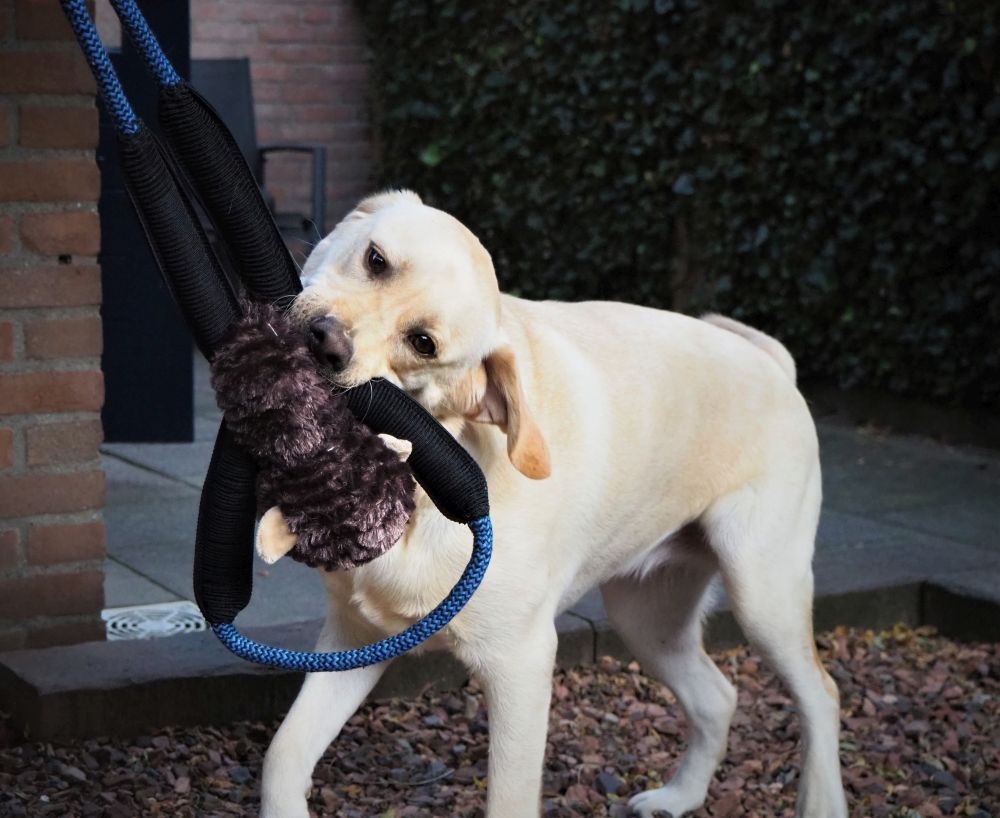 Pluszowa zabawka dla psa Nobby plusz animal Stretch with rope Monkey 50cm - pluszowa, z liną, piszczałką i rozciągliwymi elementami małpka - Nobby zdjęcie 2