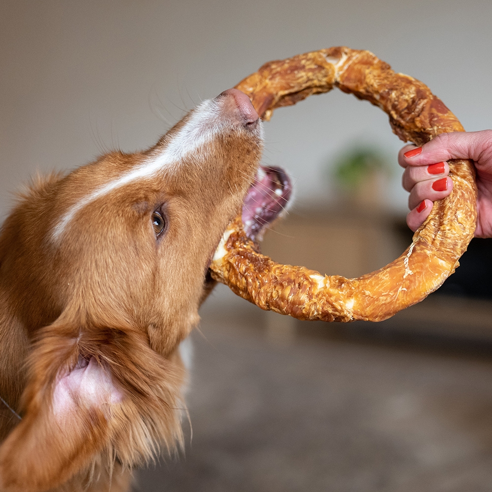 Przysmak dla psa Starsnack Chicken Donut XL Nobby 220 g - z kurczakiem - Nobby zdjęcie 2