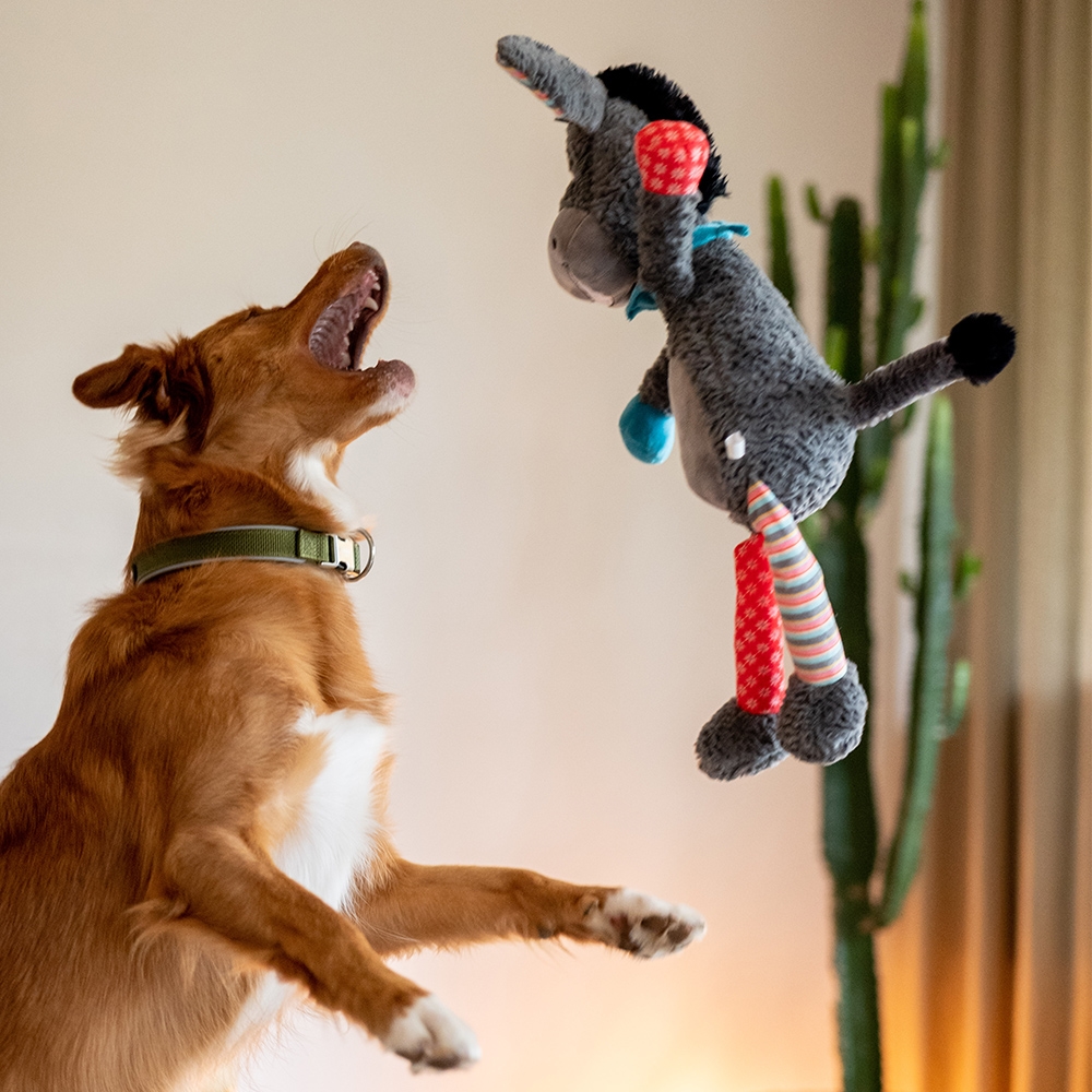 Pluszowa zabawka dla psa Nobby plush animal donkey 56cm - pluszowy osioł z piszczałką - Nobby zdjęcie 2
