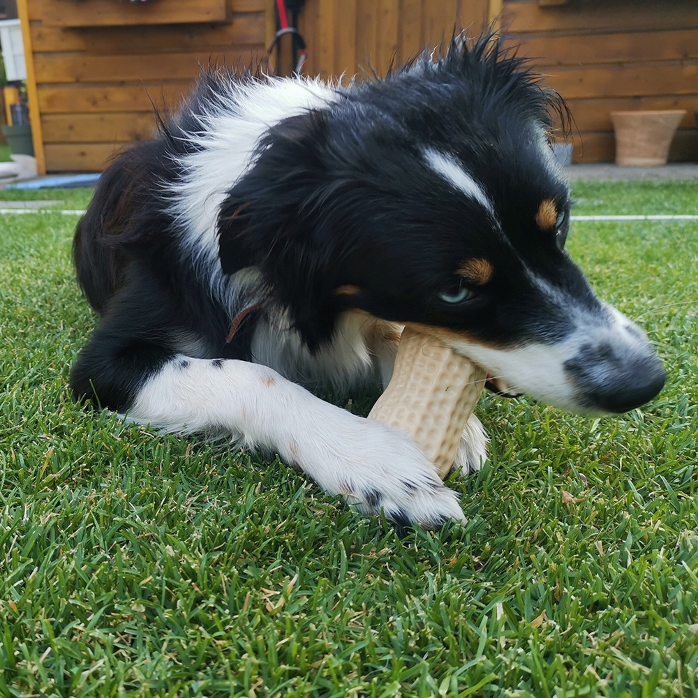 Zabawka z gumy termoplastycznej dla psa Nobby TPR Peanut 11cm- pachnący orzech ziemny  - Nobby zdjęcie 2