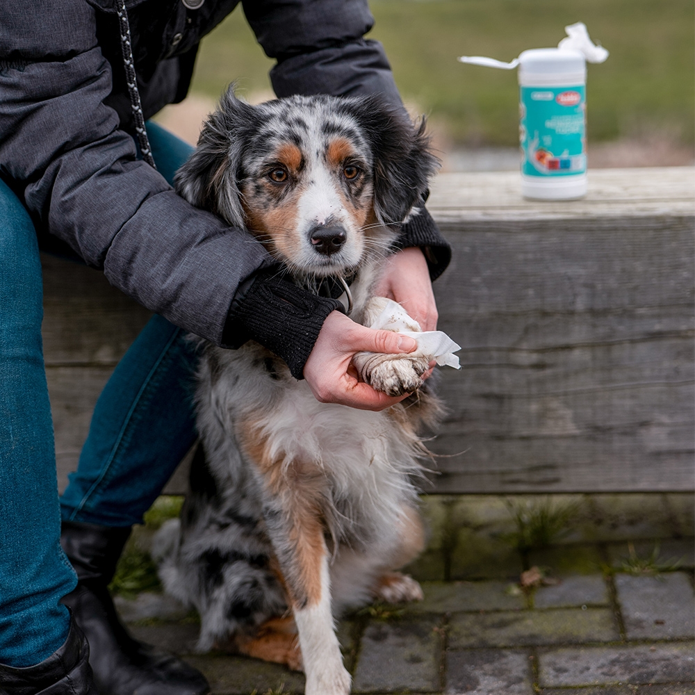 Cleaning wipes chusteczki czyszczące dla zwierząt Nobby z zapachem brzoskwiniowym 15szt/op. - Nobby zdjęcie 2