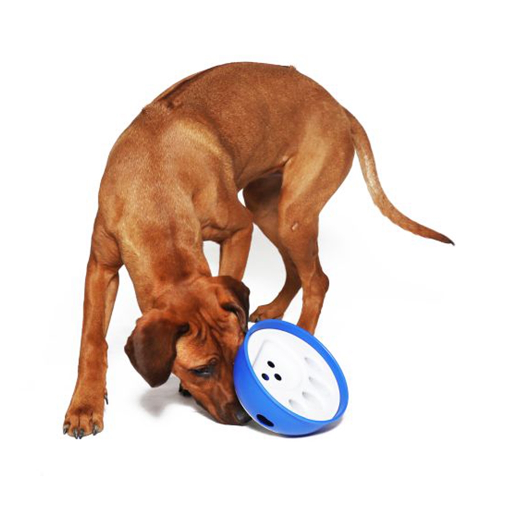 Nobby aktywna zabawka i miska w jednym  "Kick'N'Feed"z wytrzymałego plastiku Ø 21 x 10cm - Nobby zdjęcie 3