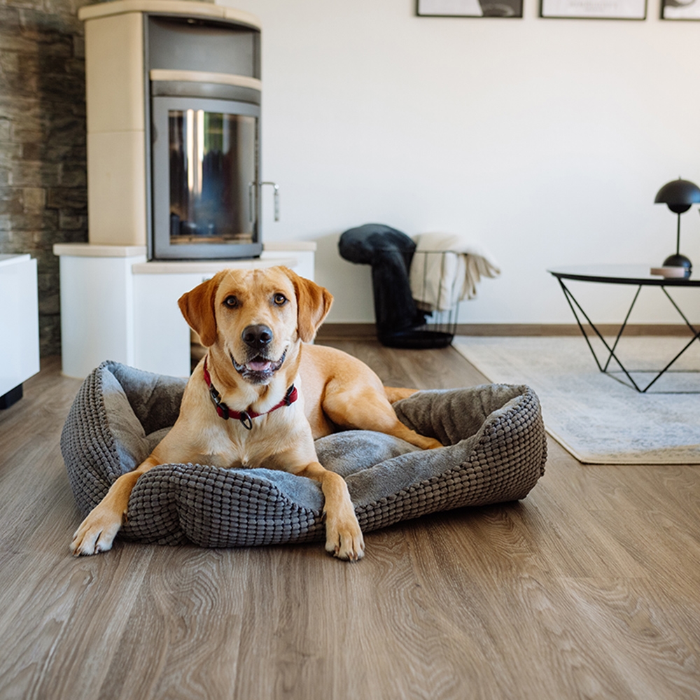 Legowisko/łóżko/kanapa ciemnoszare NOBBY dla psa i kota "GARIK" 70x 60x 20cm  - Nobby zdjęcie 2