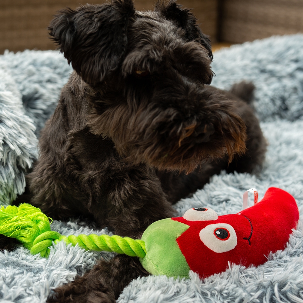 Pluszowa zabawka dla psa Nobby plush vegetables Chili with rope 32cm - pluszowa papryczka chili z piszczałką i sznurem - Nobby zdjęcie 2