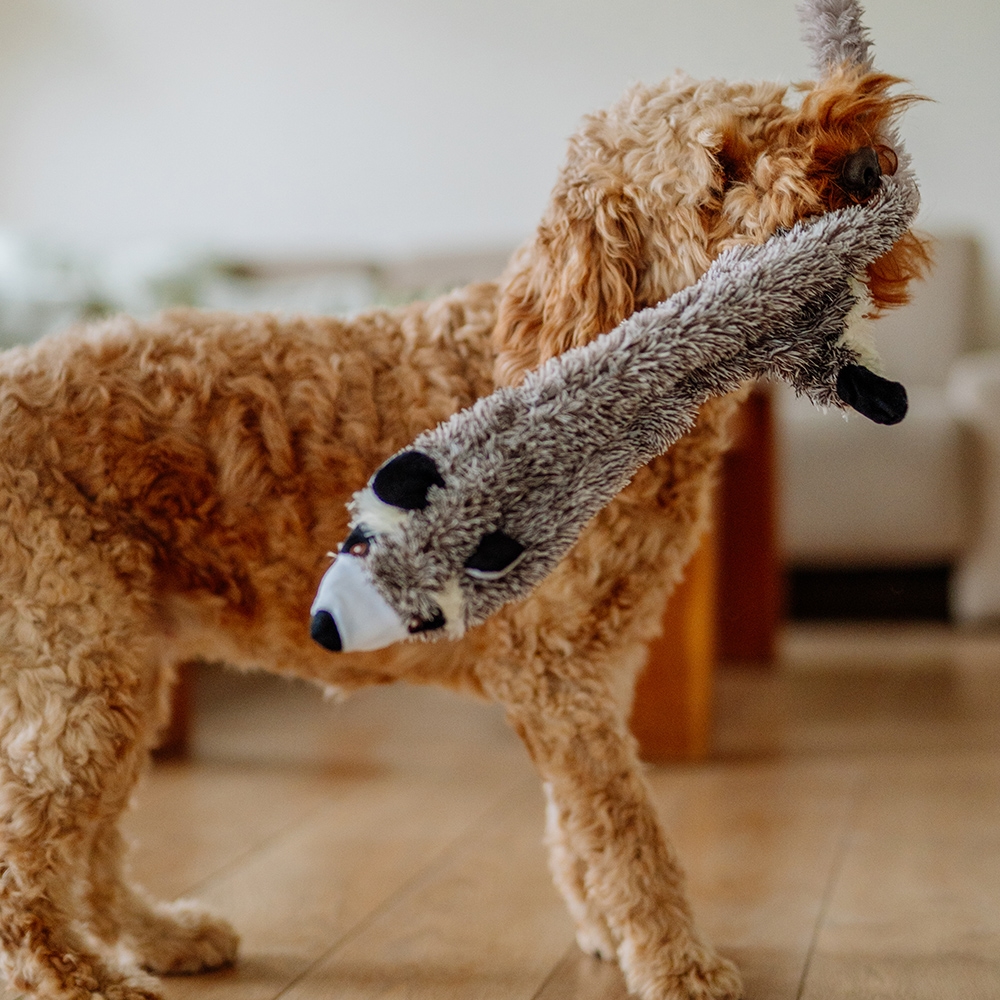 Pluszowa zabawka dla psa Nobby plush raccoon flat small 61cm - pluszowy, płaski szop z piszczałką - Nobby zdjęcie 2