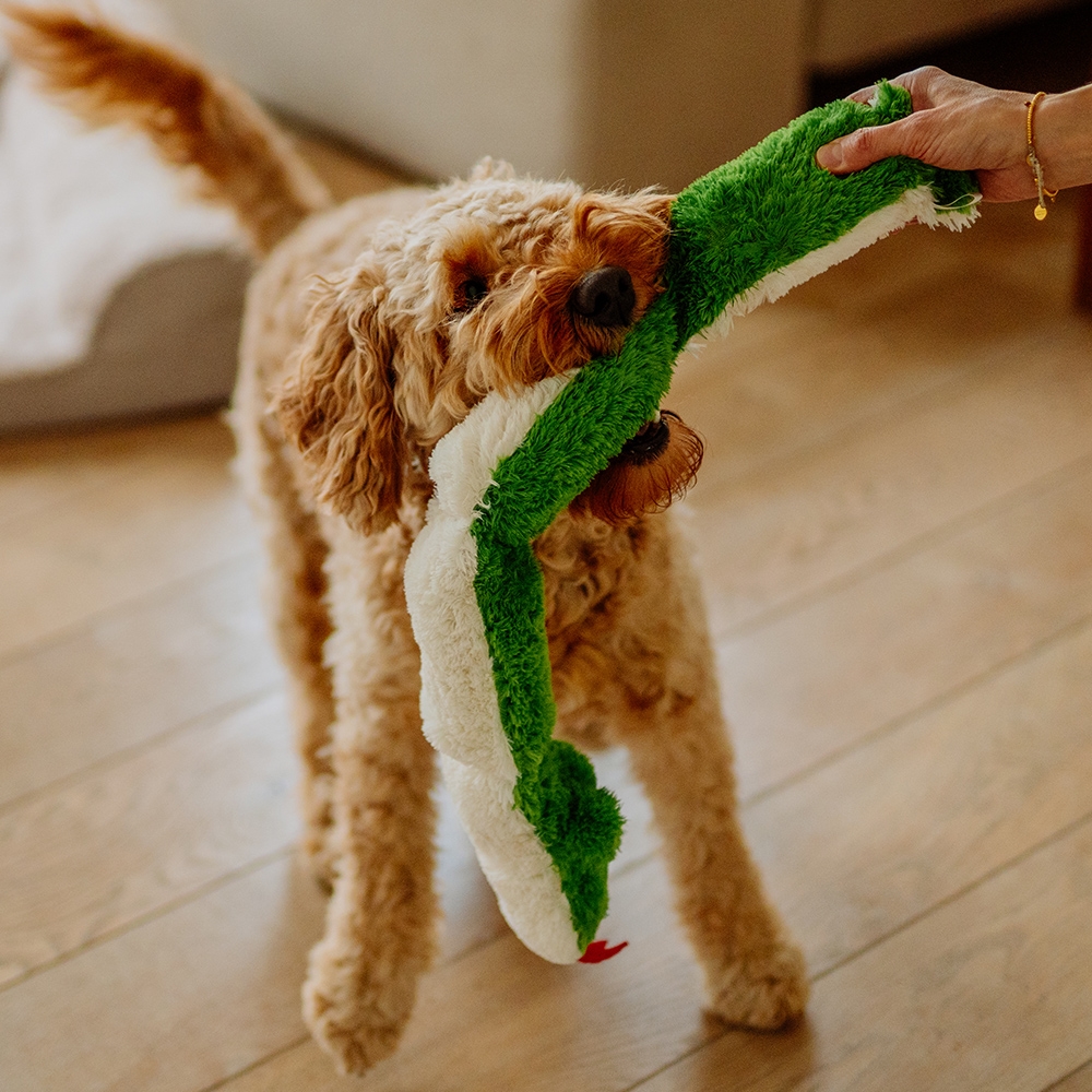 Pluszowa zabawka dla psa Nobby plush snake XL Squeaker 85cm - pluszowy, zielony wąż z 4 dużymi piszczałkami - Nobby zdjęcie 2