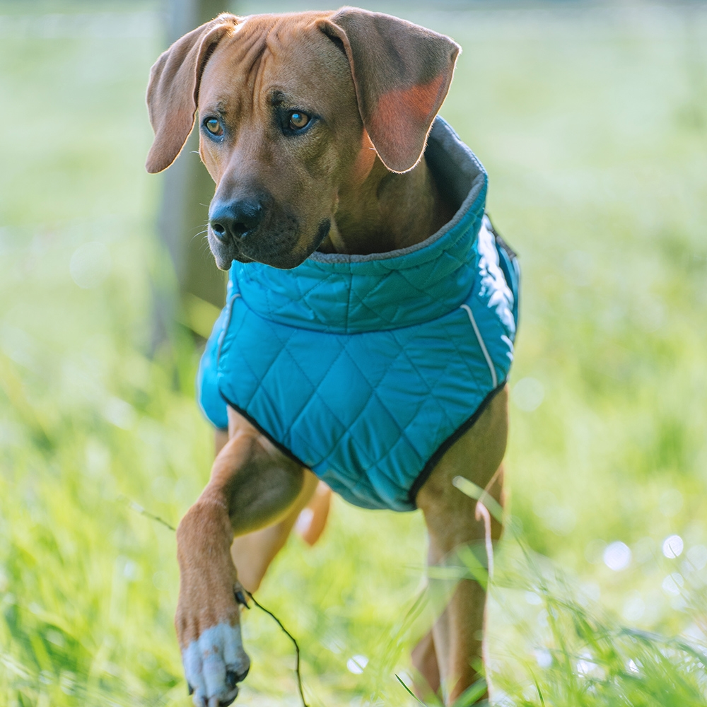 Płaszcz-ubranko dla psa Nobby "YAKA" ciemny turkus 23 cm - Nobby zdjęcie 2