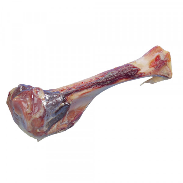 Włoska - parmeńska kość szynkowa ok.17cm (ok.220g)-soczysta, surowa kość wieprzowa - Nobby zdjęcie 1