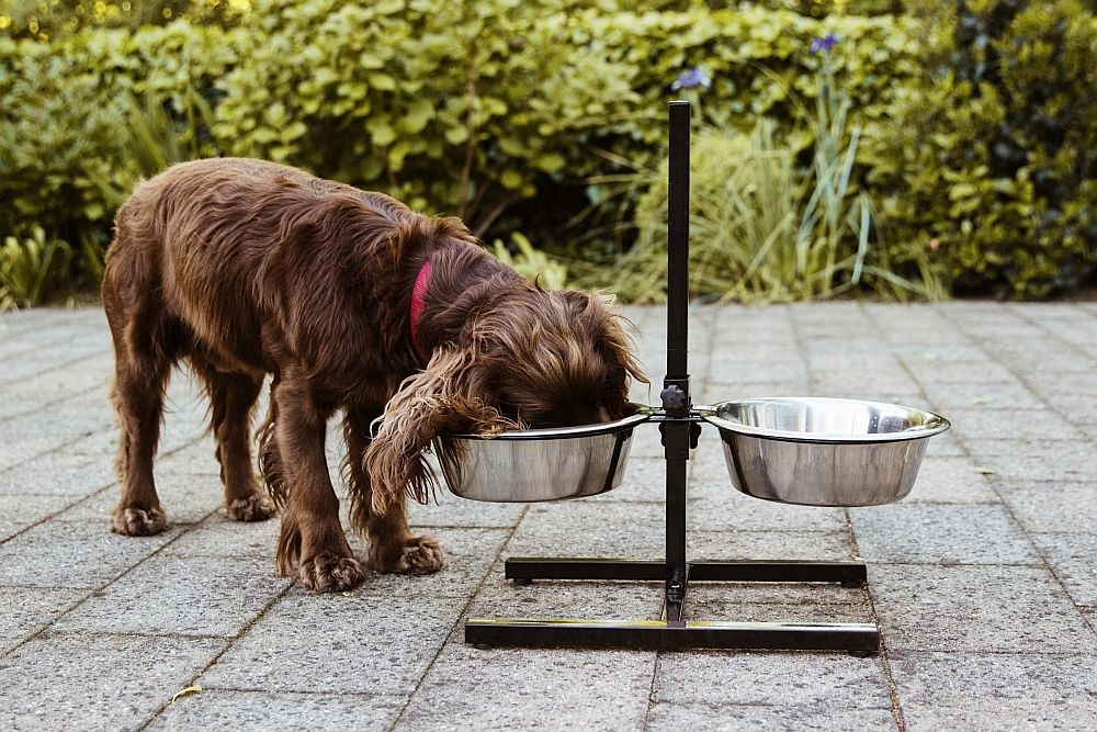 Miski metalowe na stojaku "Diner Bar" 2 x 4L Ø 29cm(regulacja 12-60 cm) - Nobby zdjęcie 2