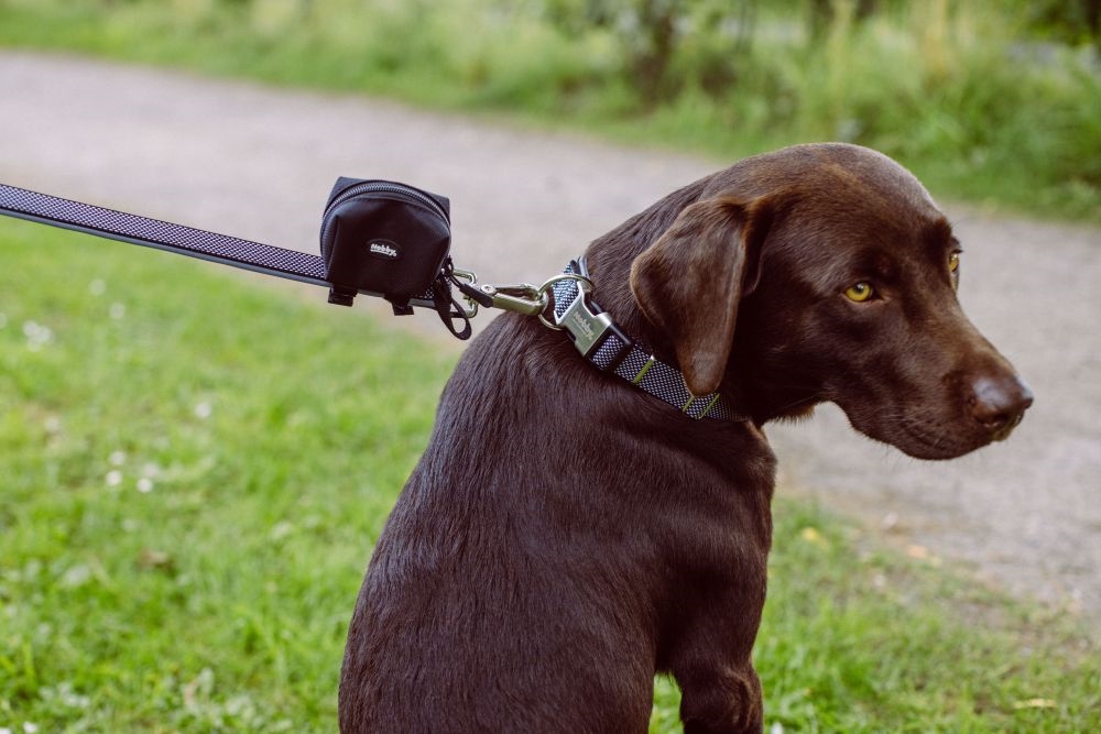 Dozownik na woreczki Rio Nobby 7,5x4x5cm - nylonowa, wodoodporna, malinowa torba na woreczki na odchody - Nobby zdjęcie 2