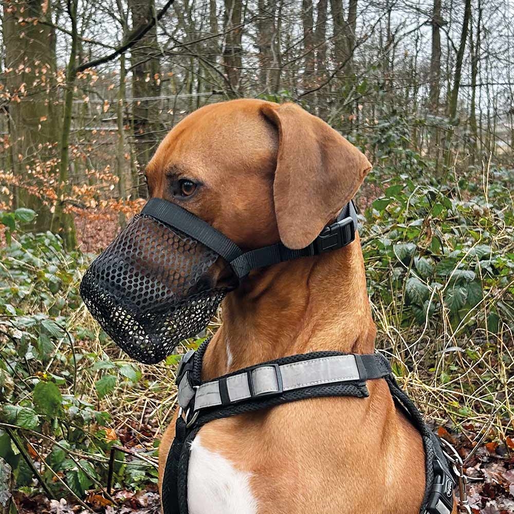 Poison protection Nobby - nylonowy kaganiec dla psa zapobiegający połknięciu, zjadaniu niepożądanych rzeczy L 32cm czarny - Nobby zdjęcie 2