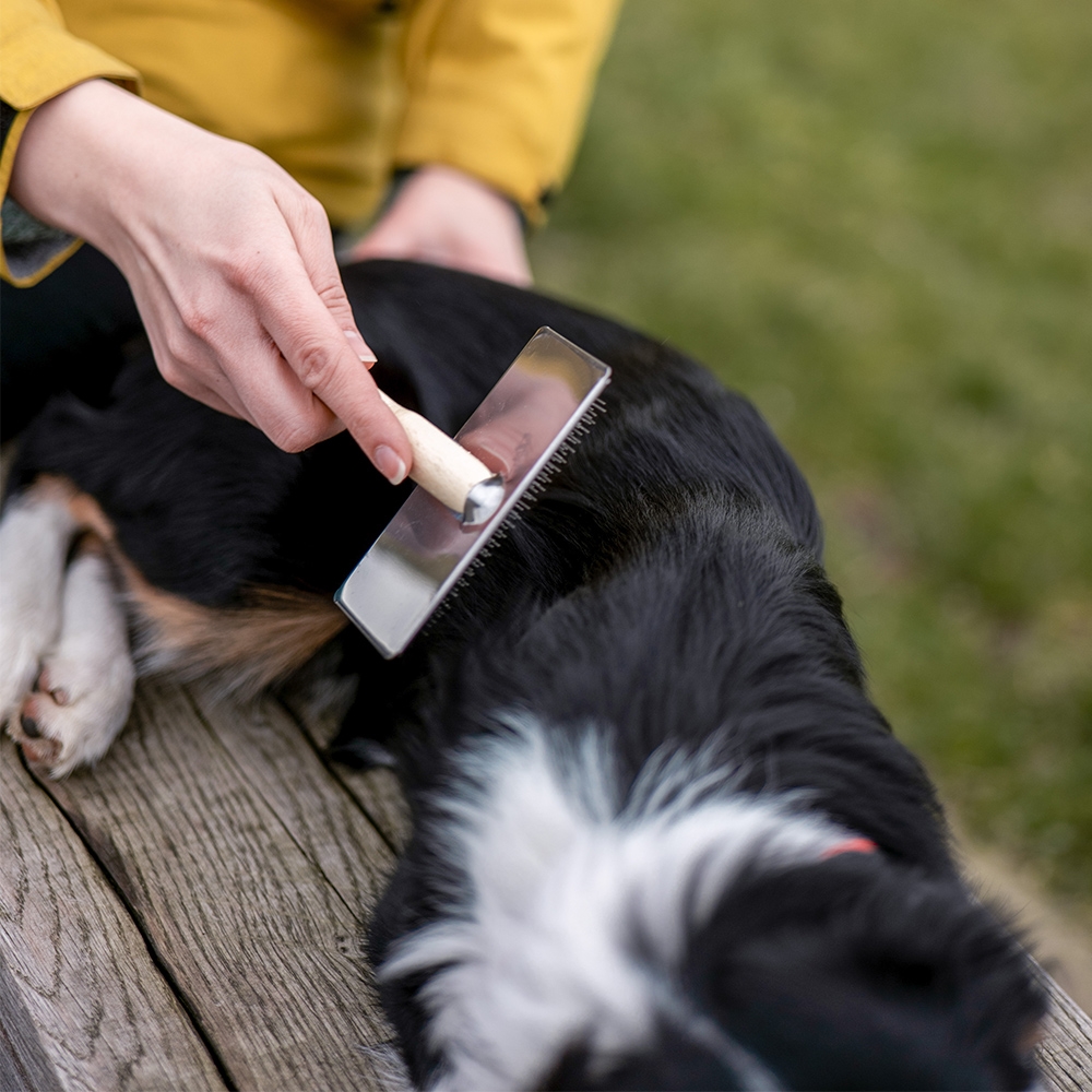 Szczotka Nobby "Pudlówka" do sierści i podszerstka z serii "Nature Line" XL - Nobby zdjęcie 2