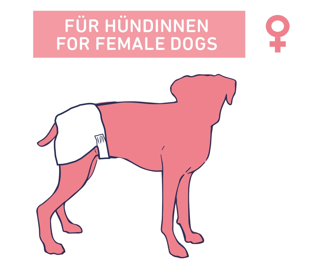 Pieluchy dla psa Nobby ( suczki - damskie) M-L 36-52cm 12szt. - Nobby zdjęcie 2