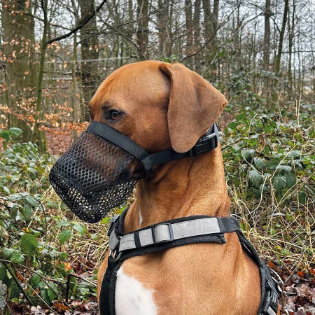 Poison protection Nobby - nylonowy kaganiec dla psa zapobiegający połknięciu, zjadaniu niepożądanych rzeczy S-M 22cm czarny - Nobby zdjęcie 2