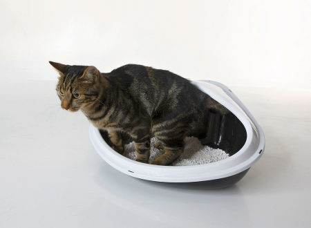 Narożna kuweta dla kota kotów Nobby Concha 51 x 38 x 22,5 cm