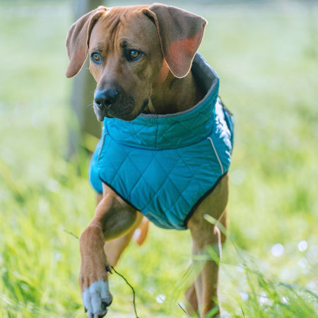 Płaszcz-ubranko dla psa Nobby "YAKA" ciemny turkus 29 cm - Nobby zdjęcie 2
