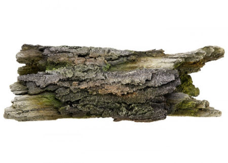 Ozdoba akwariowa Nobby 