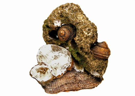 Ozdoba akwariowa Nobby 