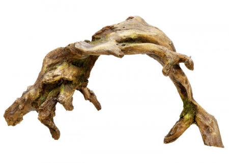 Ozdoba akwariowa Nobby 