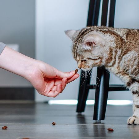 Przysmak dla kota StarSnack Anti-Hairball 125g Nobby - przysmak odkłaczający - Nobby zdjęcie 3