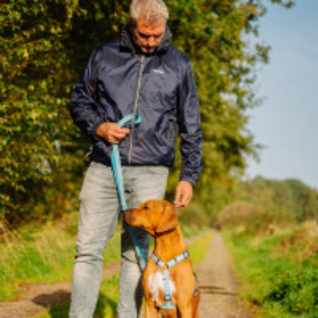 Szelki dla psa Nobby Full Reflect XS-S 15mm / 30-35cm jasnoniebieskie - Nobby zdjęcie 3