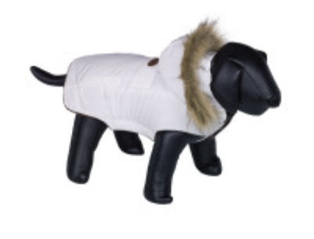 Płaszcz-ubranko dla psa Nobby 
