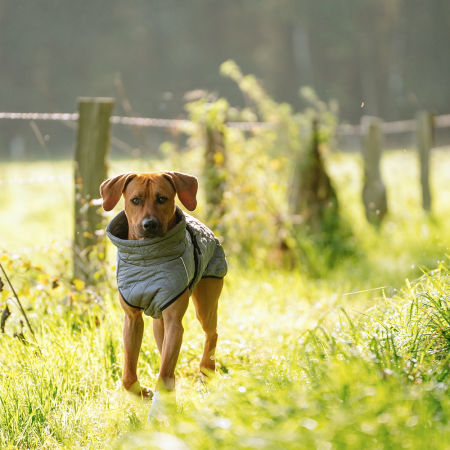 Płaszcz-ubranko dla psa Nobby "YAKA" szare 48 cm - Nobby zdjęcie 2