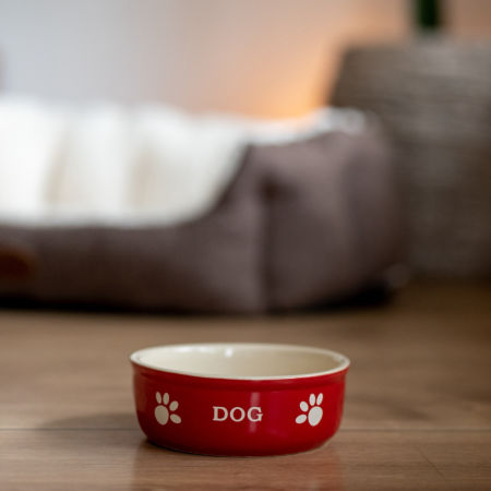 Miska ceramiczna Nobby dla psa "Dog " czerwono-beżowa 0,25 L  Ø 13,5x5cm - Nobby zdjęcie 2