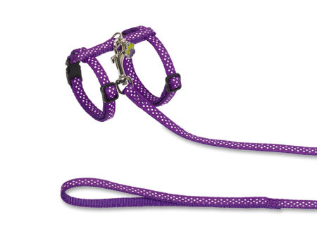 Szelki ze smyczą dla kota „Dots