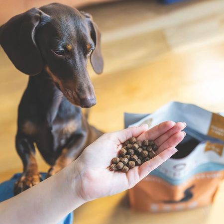 Perro sucha karma dla dorosłych psów małych ras 1 kg -  Kaczka z batatami
