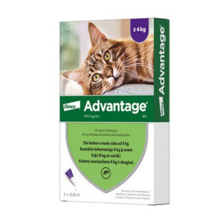 Advantage kot 80 0,8ml krople dla kota powyżej 4kg przeciw pchłom - 1 pipetką