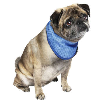Chłodząca chusta bandana dla PSA cooling bandana Nobby L  43-58cm - Nobby zdjęcie 1